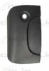 BLIC 6010-09-029417P Door Handle